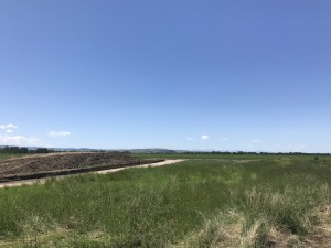 IMG_1357