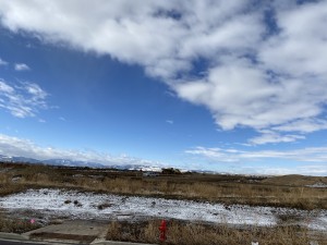 IMG_2793