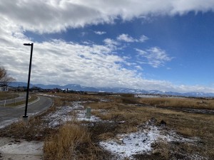 IMG_2794